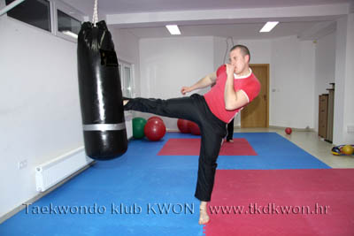 taekwondo kwon training
